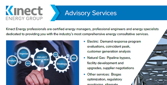 Advisory Services Examples
