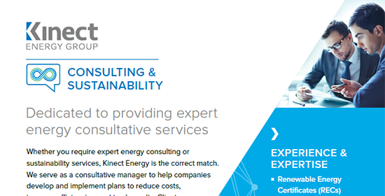 consulting and sustainability