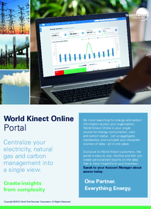 World Kinect online