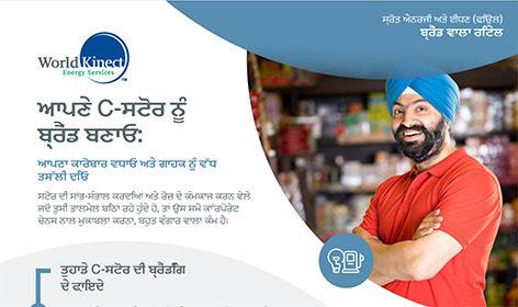 Punjabi Brochure