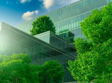trees around building