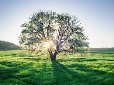 sustainability
