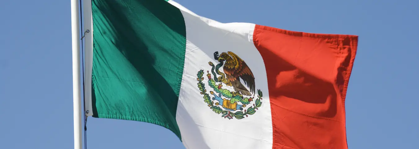 Mexico flag