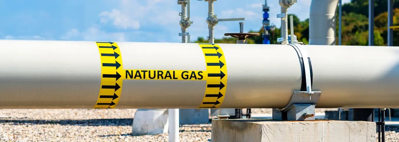 Nat gas plant 