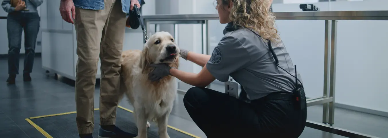 dog being inspected at customs