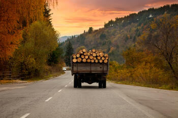 forestry truck