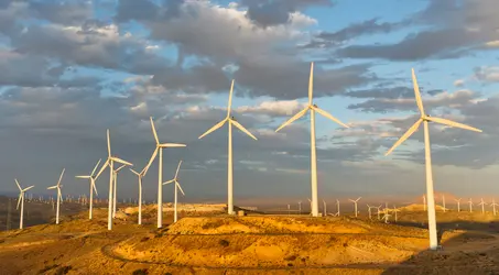 Carbon offsetting