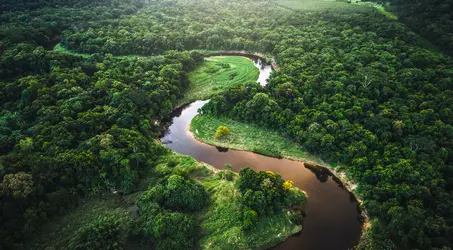carbon offsetting