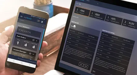 myworld on phone and laptop