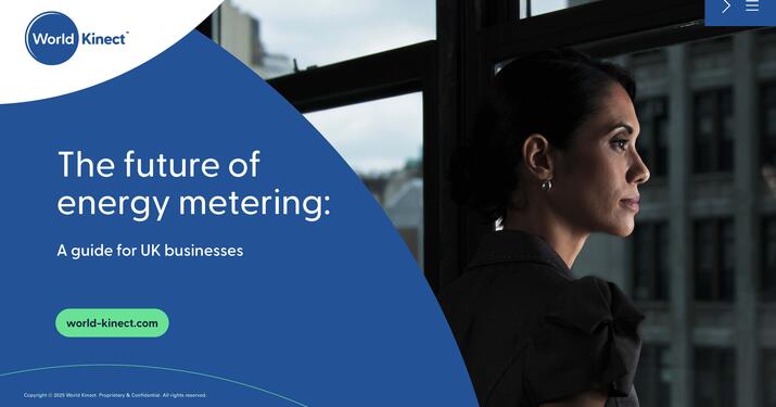 The future of energy metering ebook