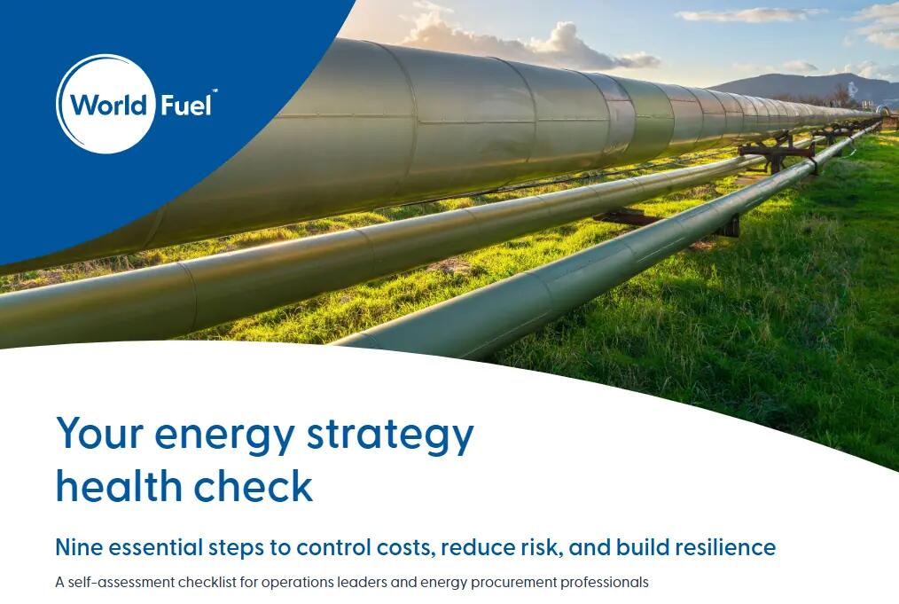energy strategy health check