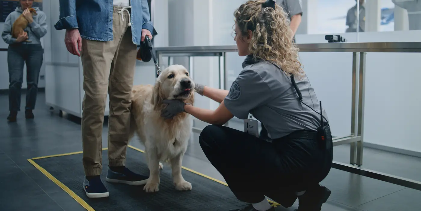 dog being inspected at customs