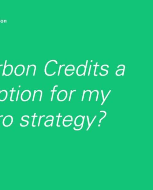 Are Carbon Credits a Good Option?