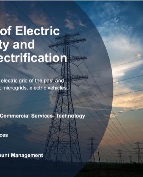 The Future of Electric Grid Stability and Effect of Electrification