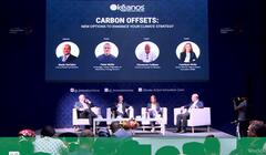 Carbon Credits in the Marketplace