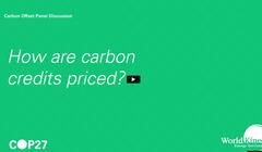Pricing Carbon Credits