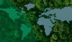 bird eye view over land